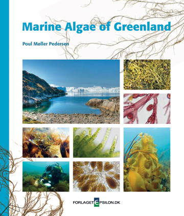 Marine Algae of Greenland